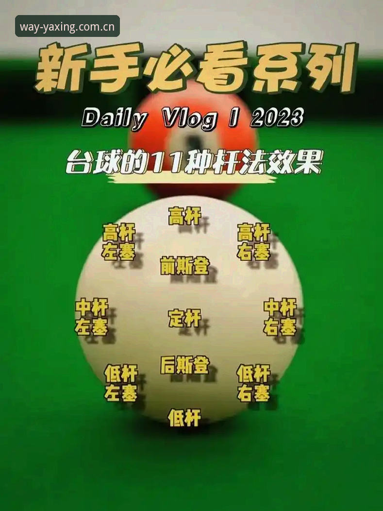 亚星体育平台实用指南：行稳致远亚星真人的真实体验与操作技巧